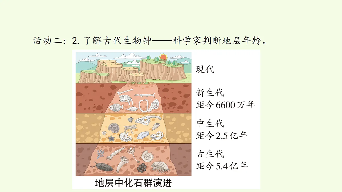 18703733第5页