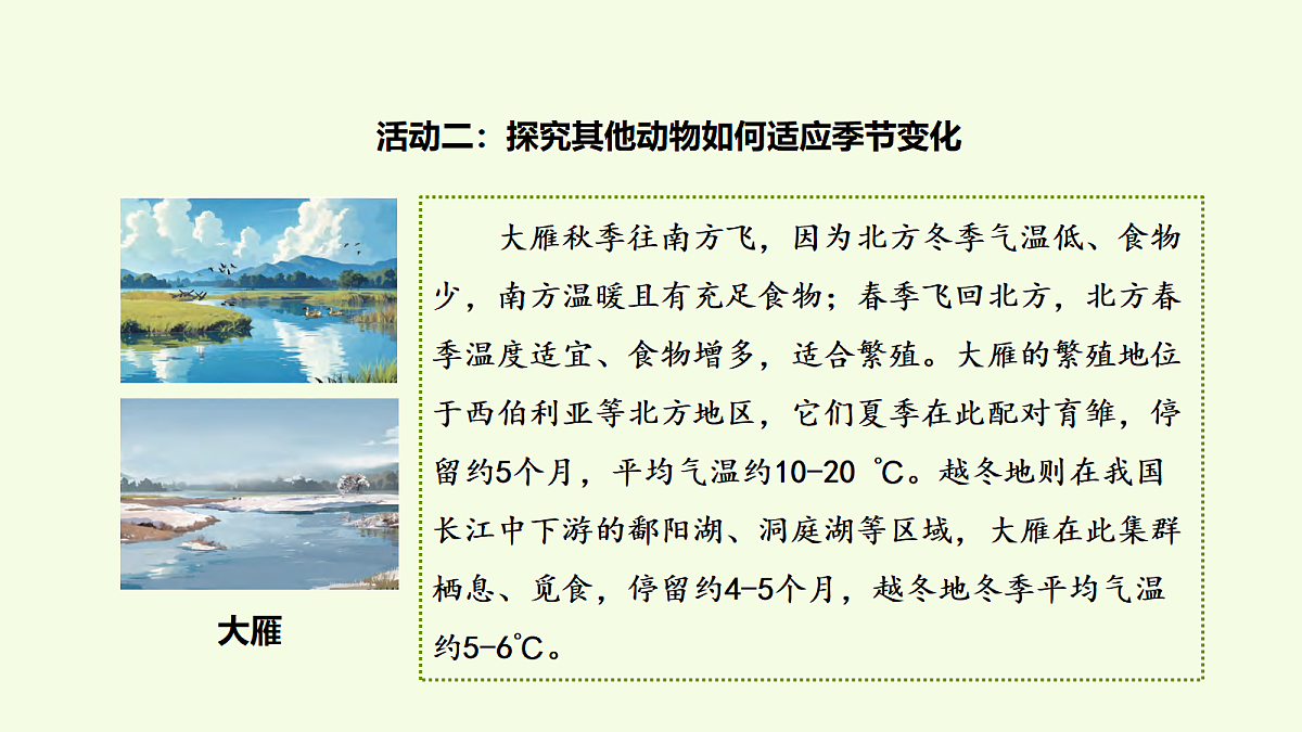 18703832第7页