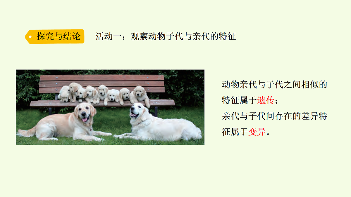 18703866第3页
