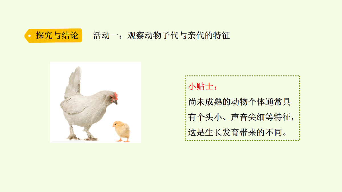 18703866第4页