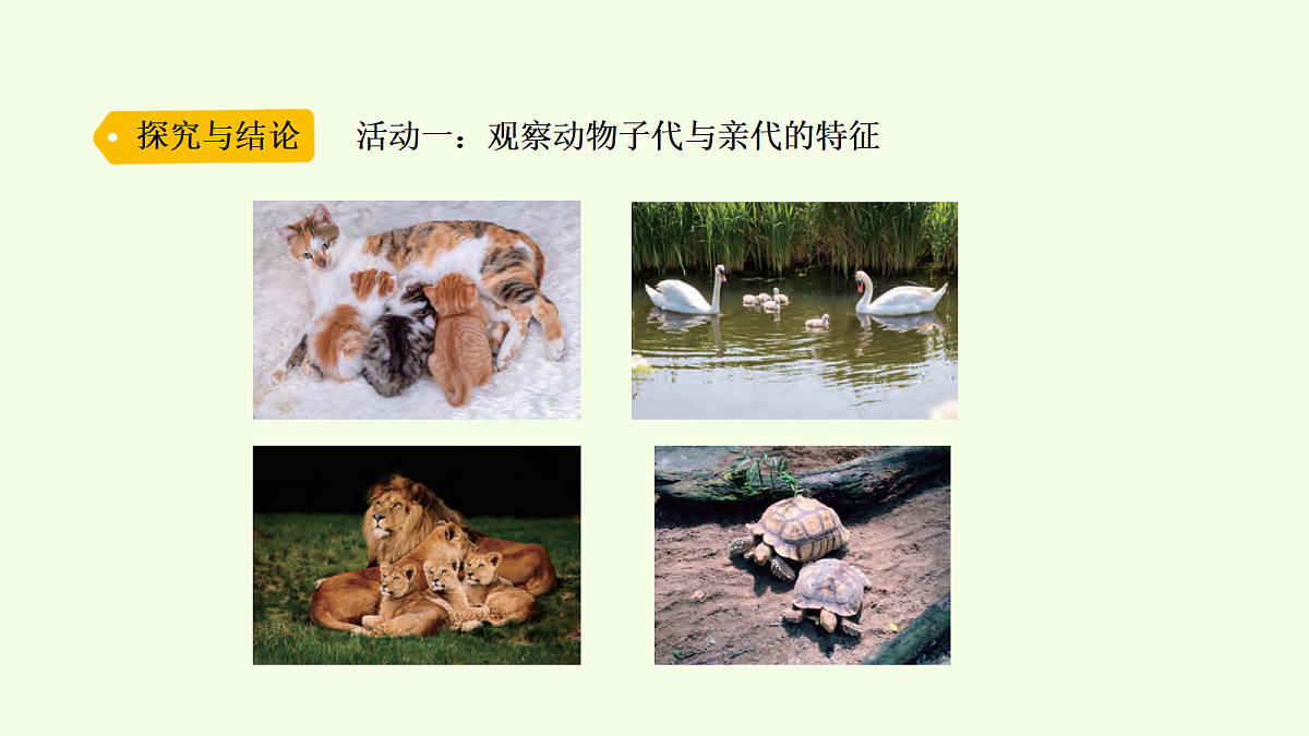 18703866第5页