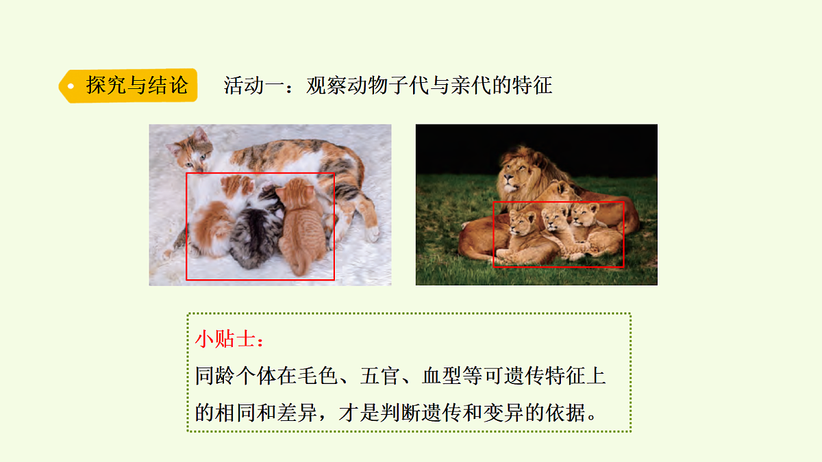 18703866第7页