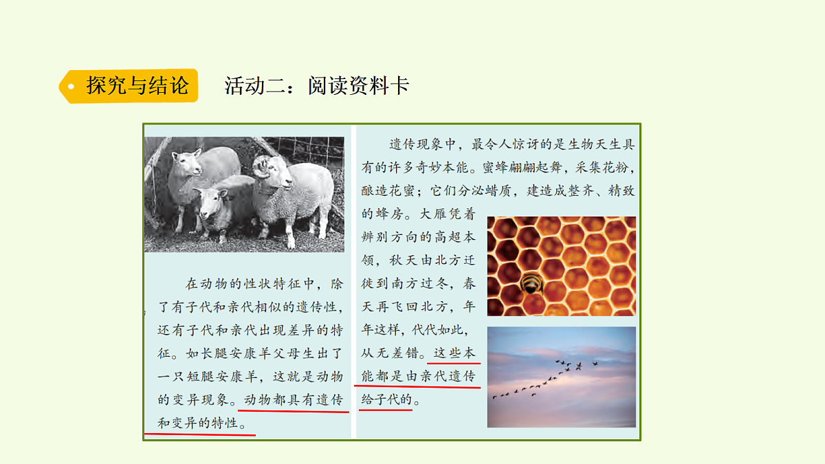 18703866第8页