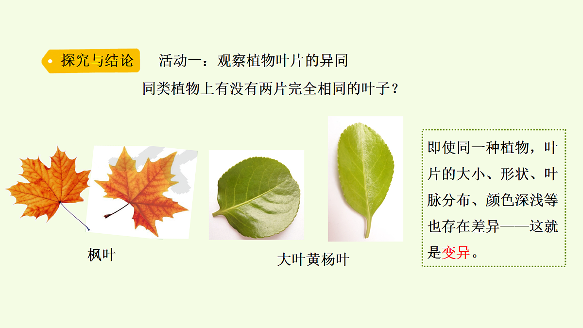 18703867第3页