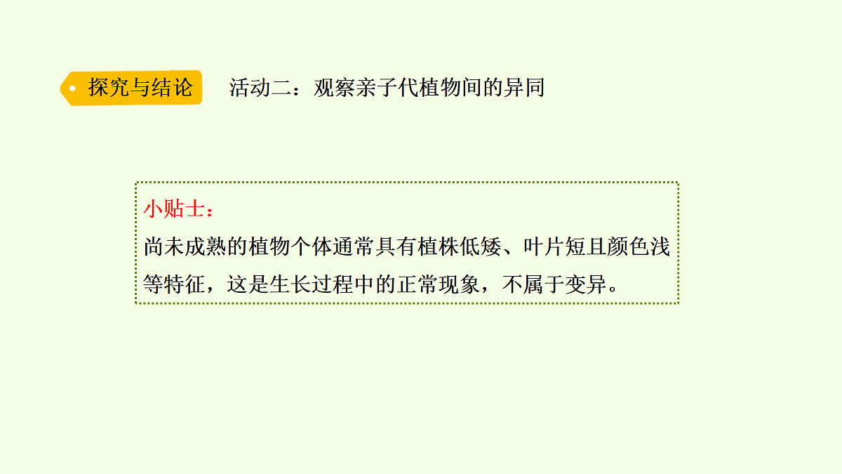 18703867第4页