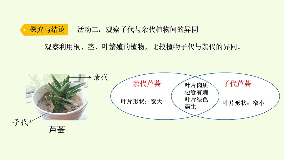 18703867第5页