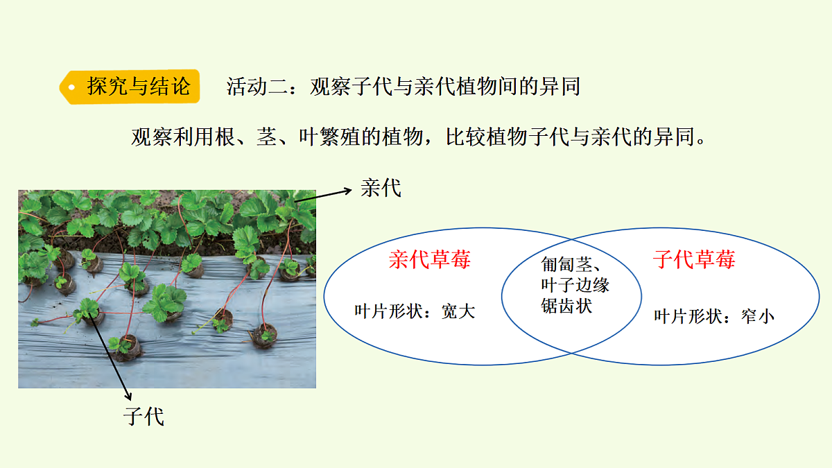 18703867第6页