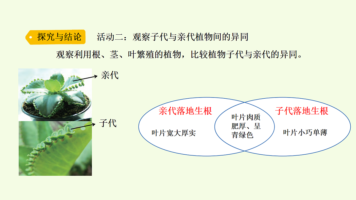 18703867第7页
