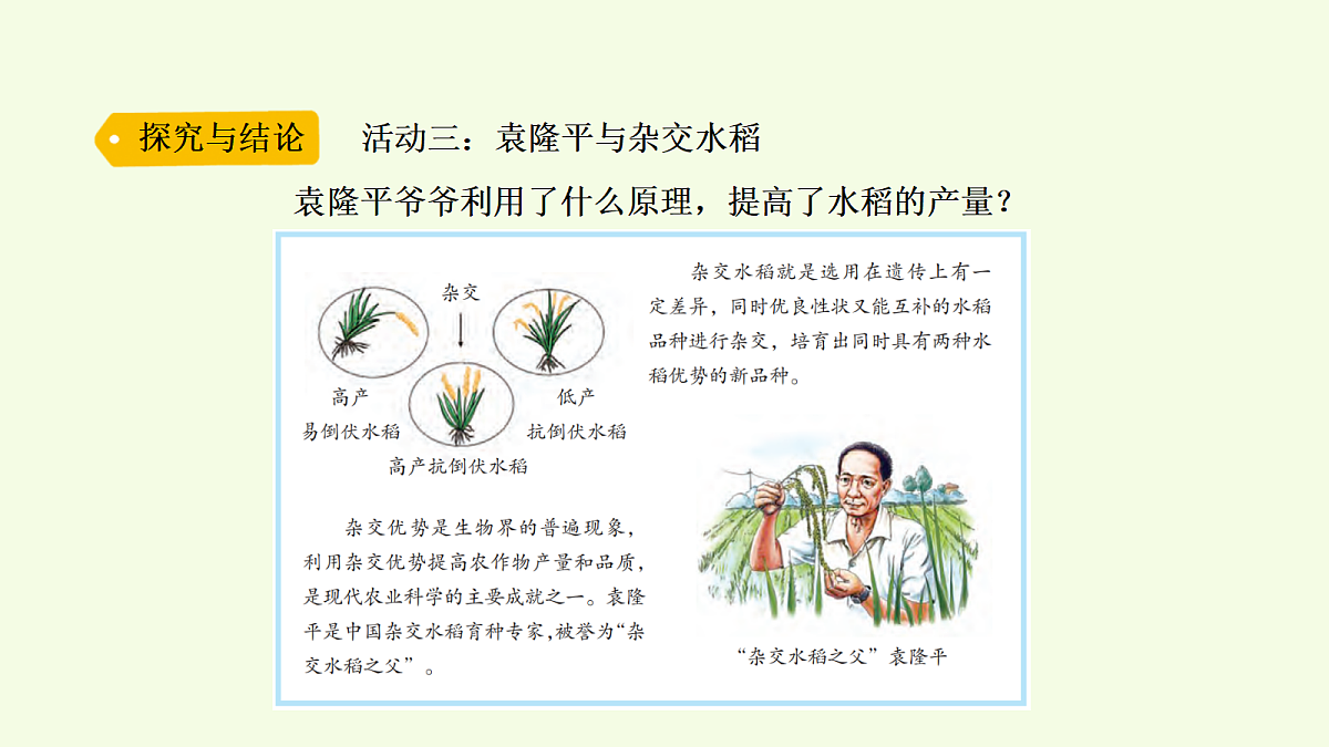 18703867第8页