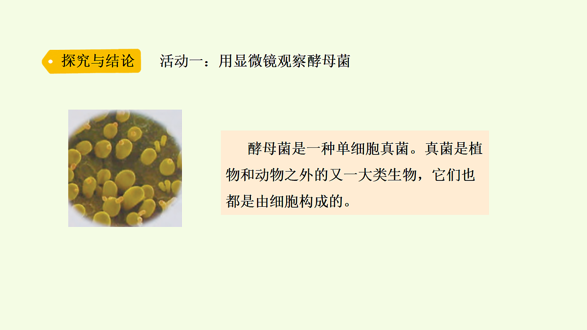 18703870第7页