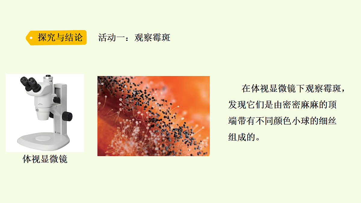 18703871第4页