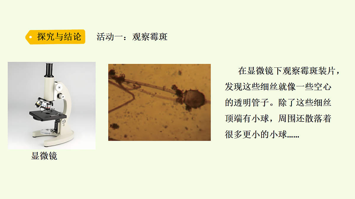 18703871第5页