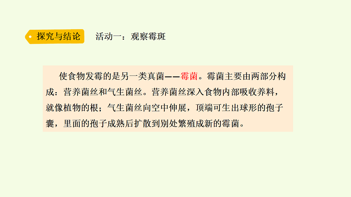 18703871第6页