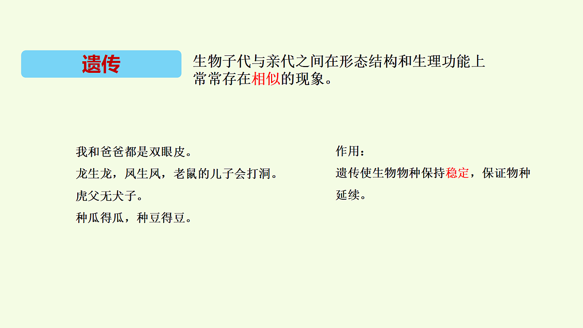 18704043第4页