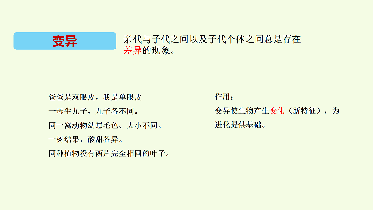 18704043第5页