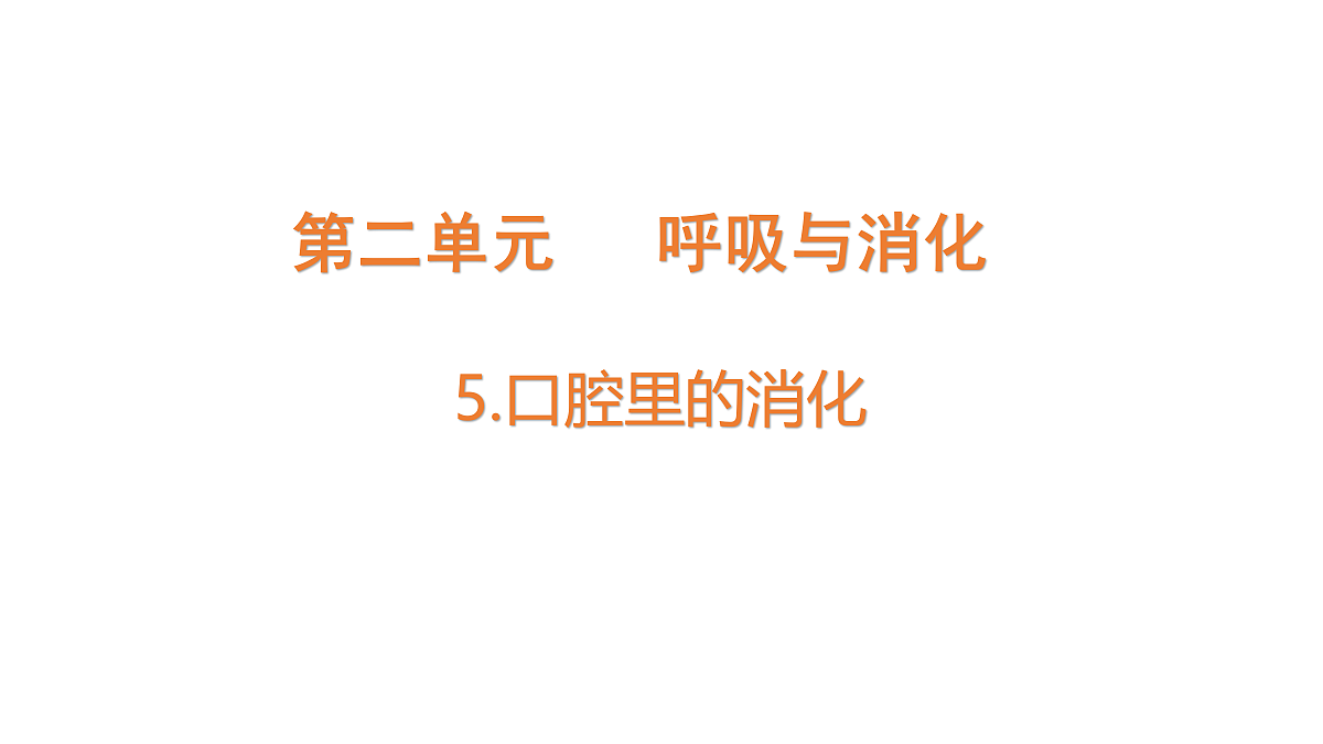 18704066第1页