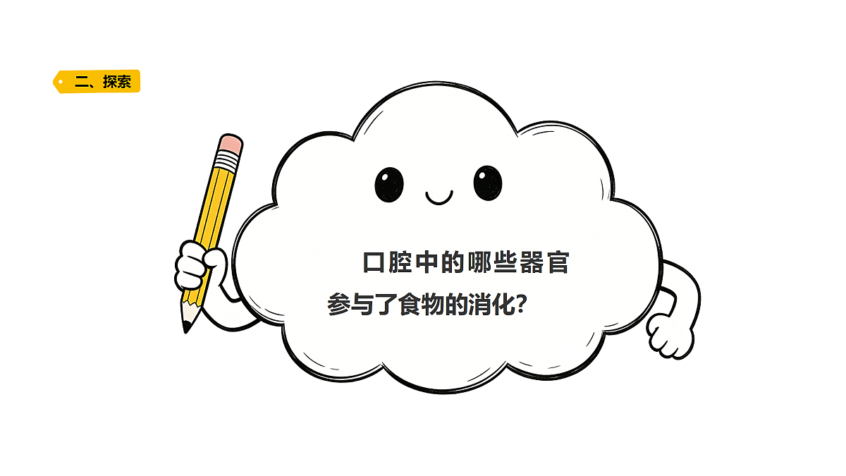 18704066第5页