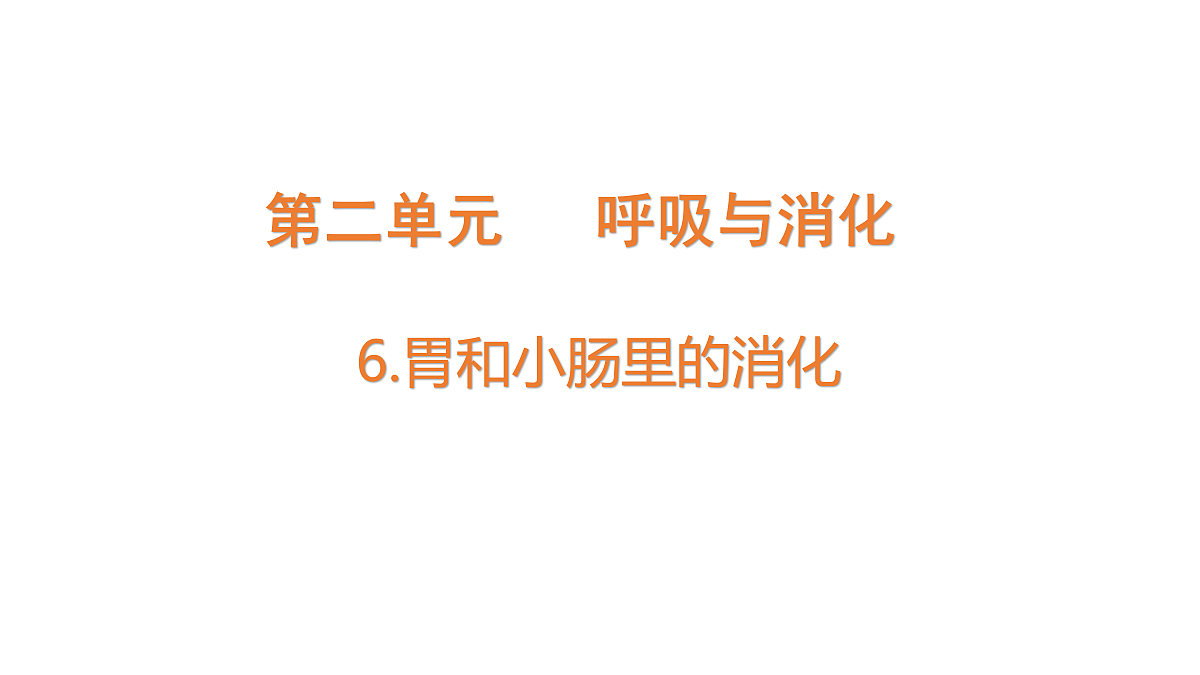 18704067第1页
