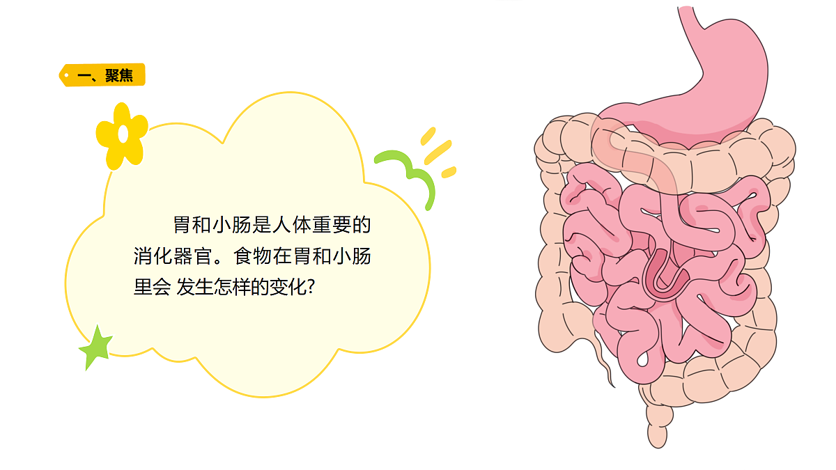 18704067第2页