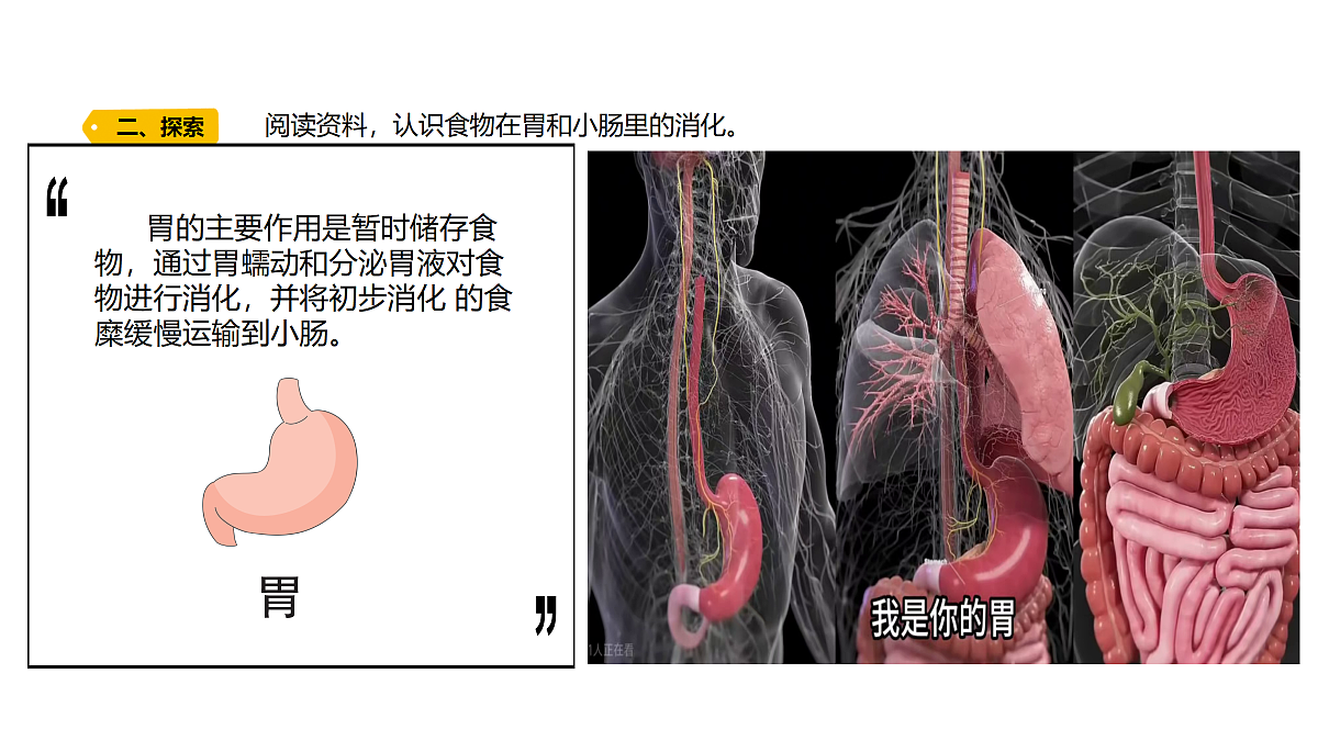 18704067第7页