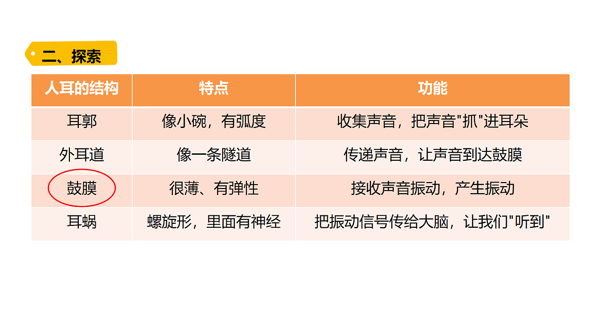 18704081第5页