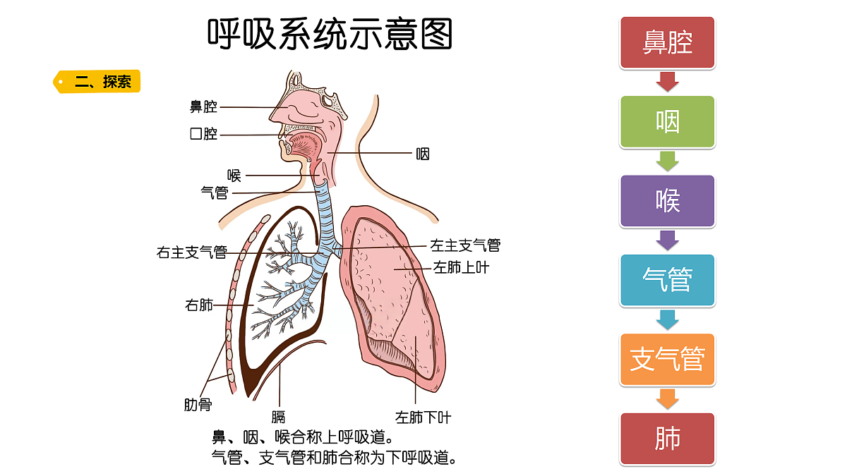 18704097第5页