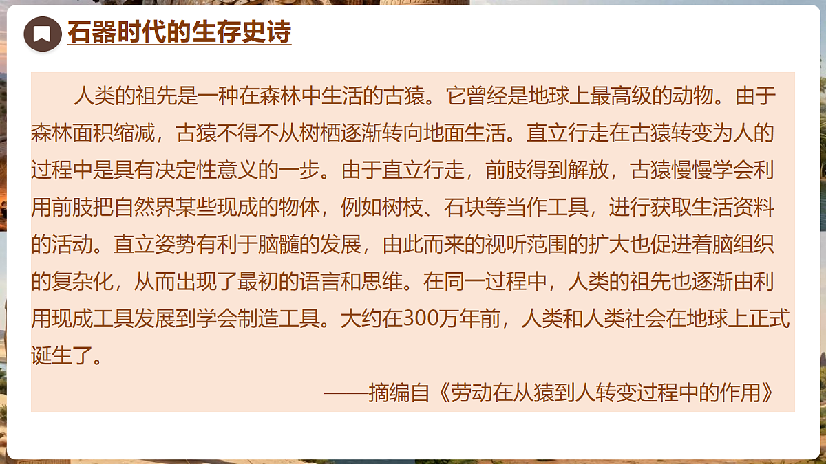18704244第4页