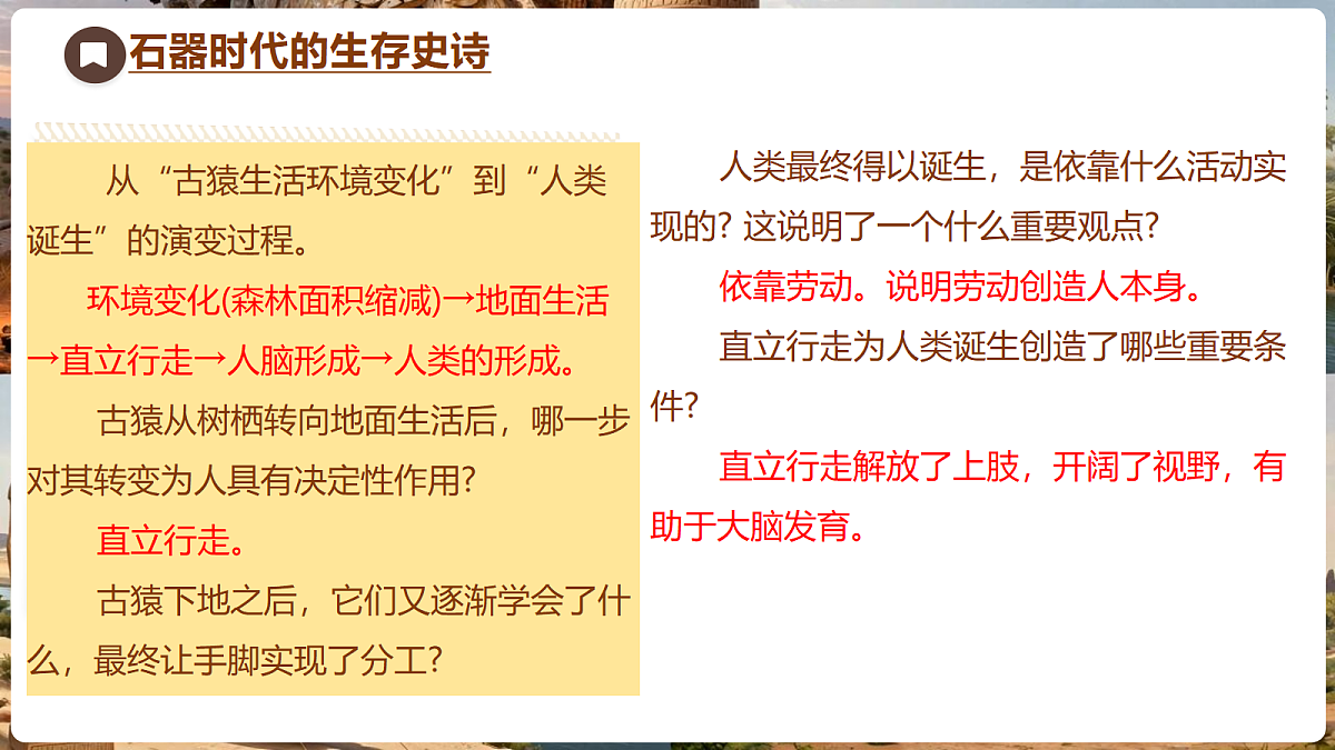 18704244第5页