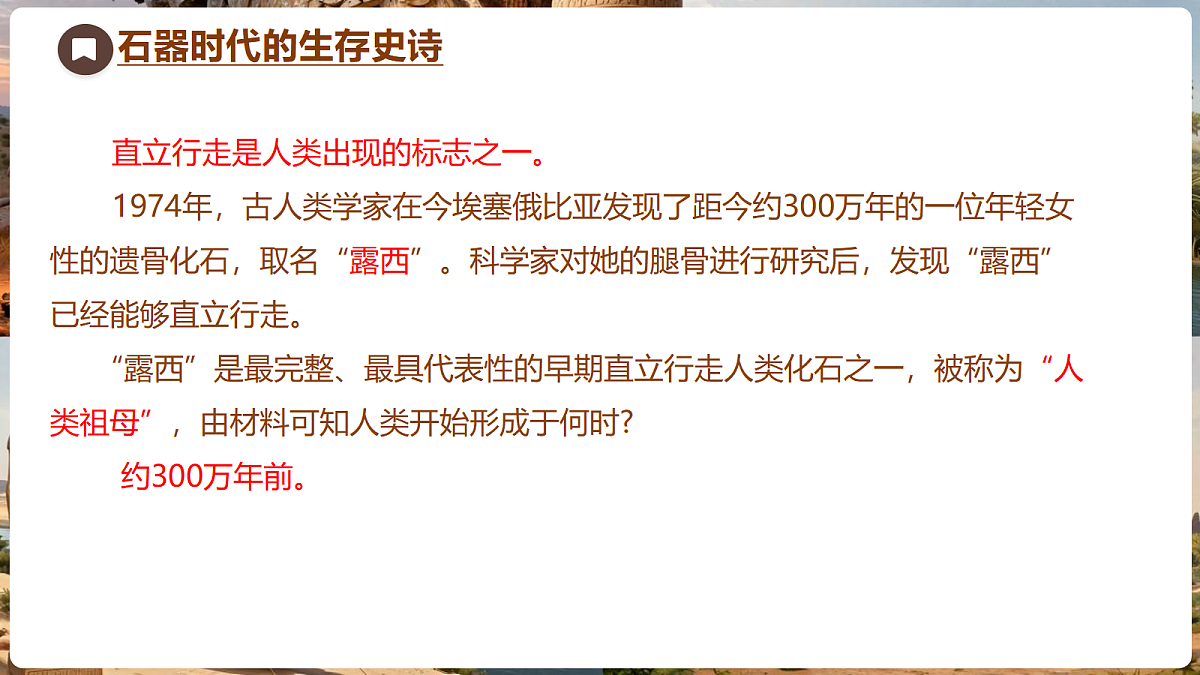 18704244第6页
