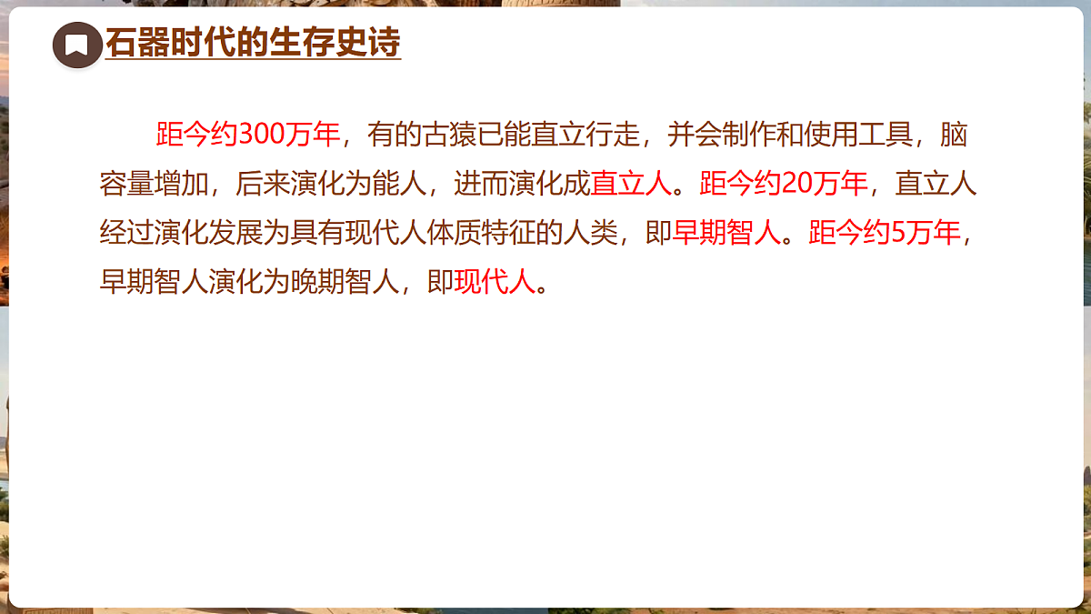 18704244第7页