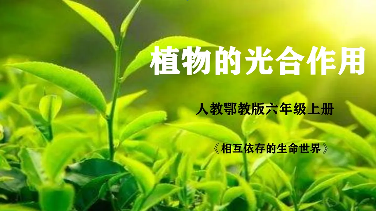 1.2《植物的光合作用》课件 第1页