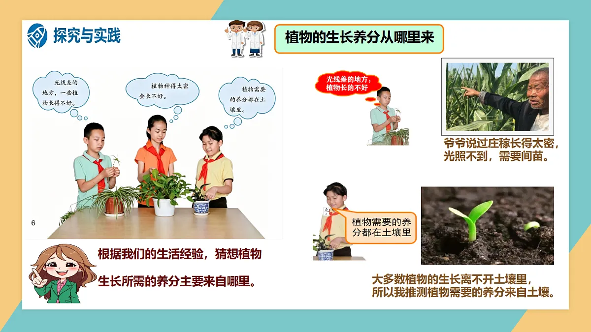 1.2《植物的光合作用》课件 第3页