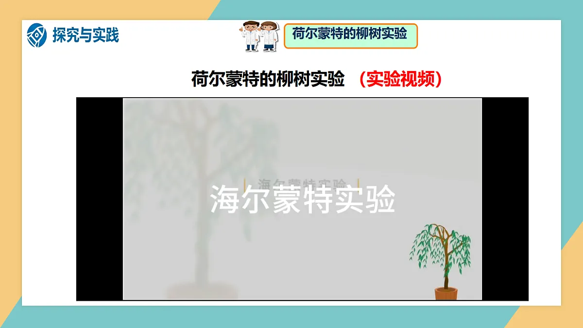 1.2《植物的光合作用》课件 第5页