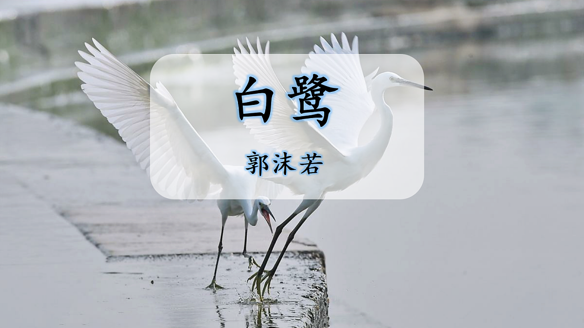 18704543第1页
