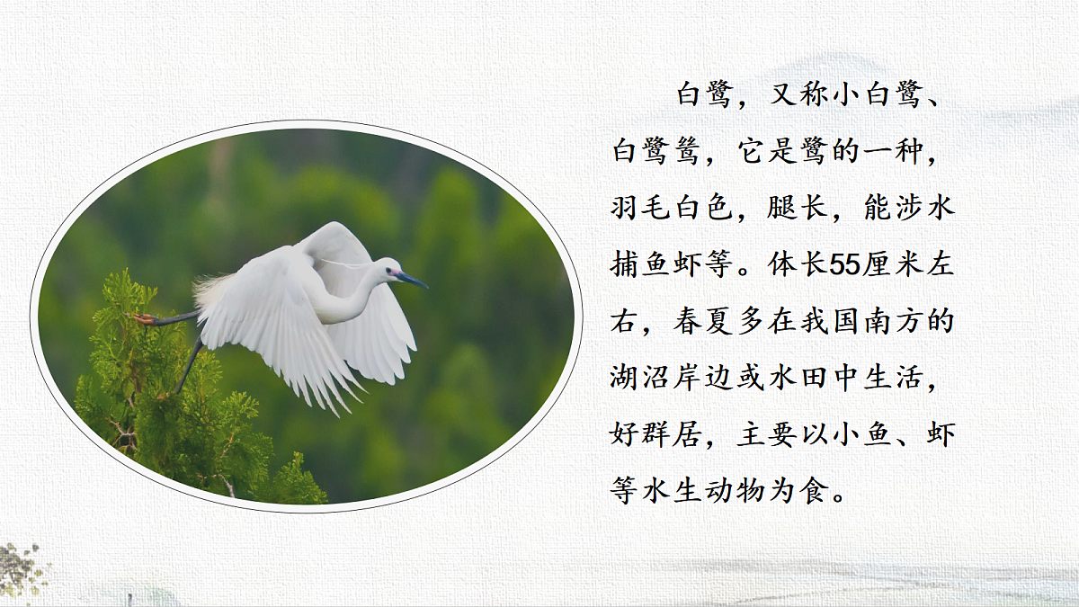 18704543第3页