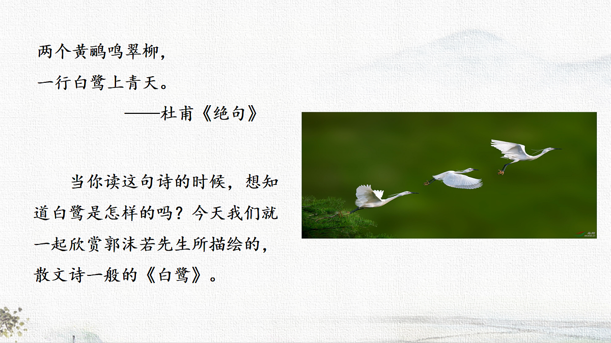 18704543第4页