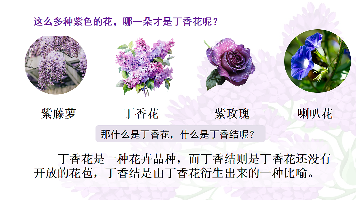 18704876第2页