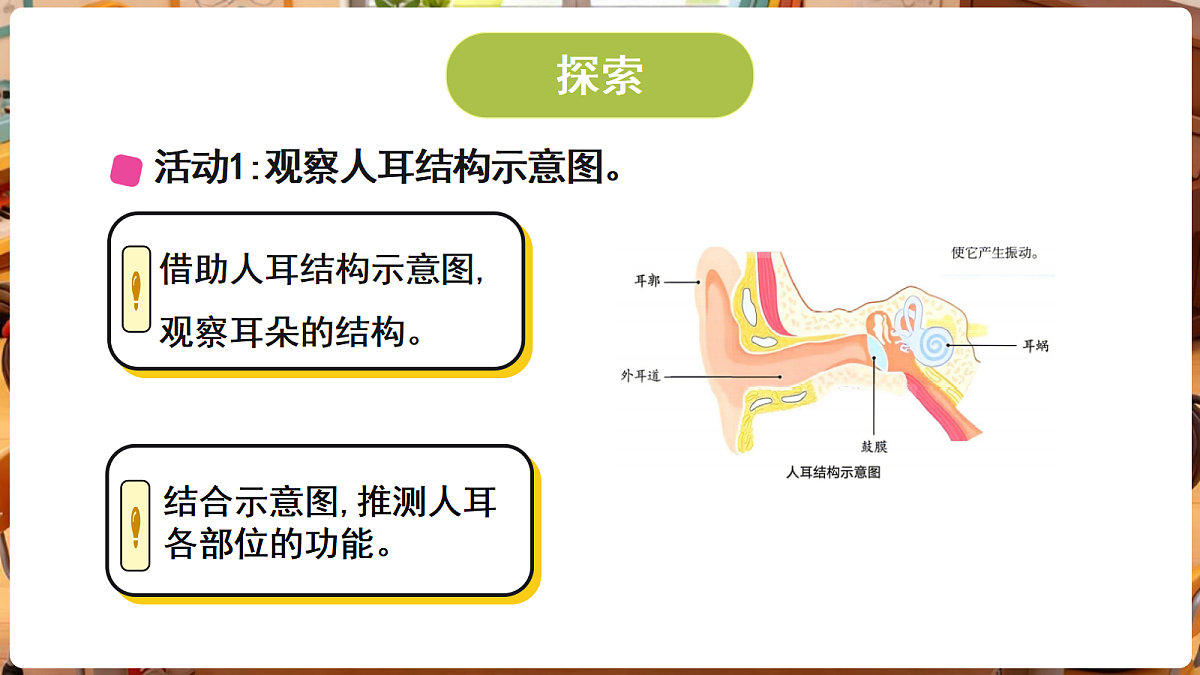 18705127第3页