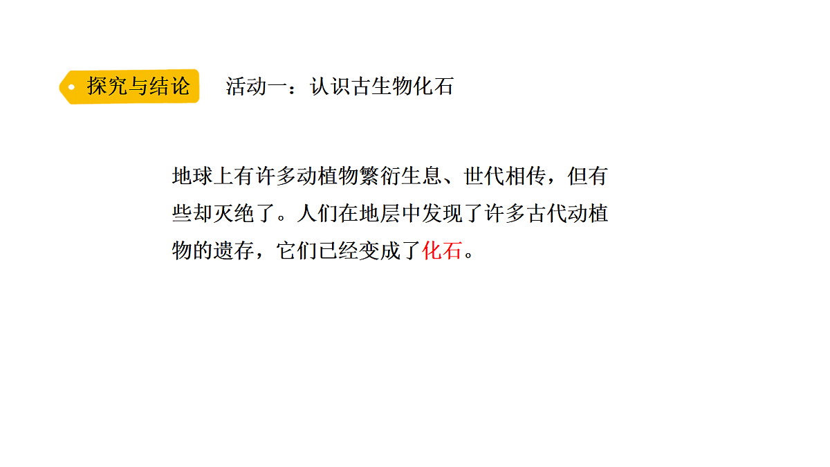 18705214第3页