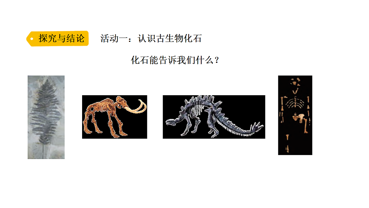 18705214第8页
