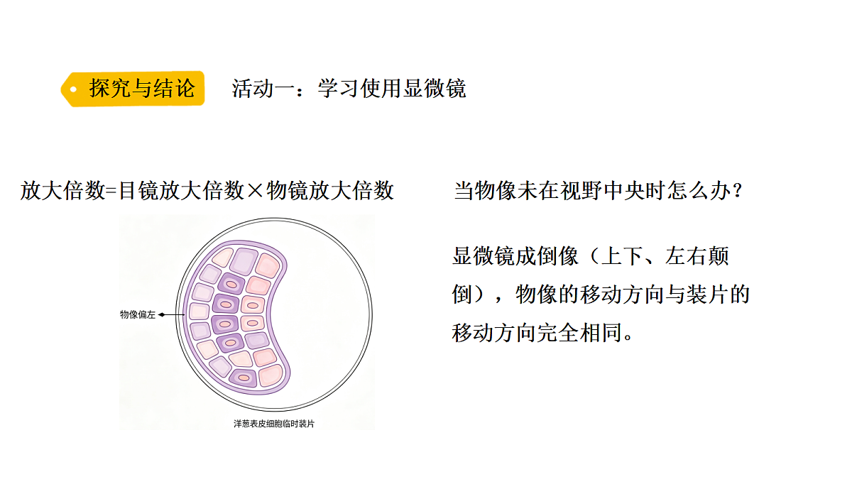 18705216第7页