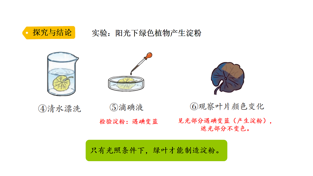 18705252第8页