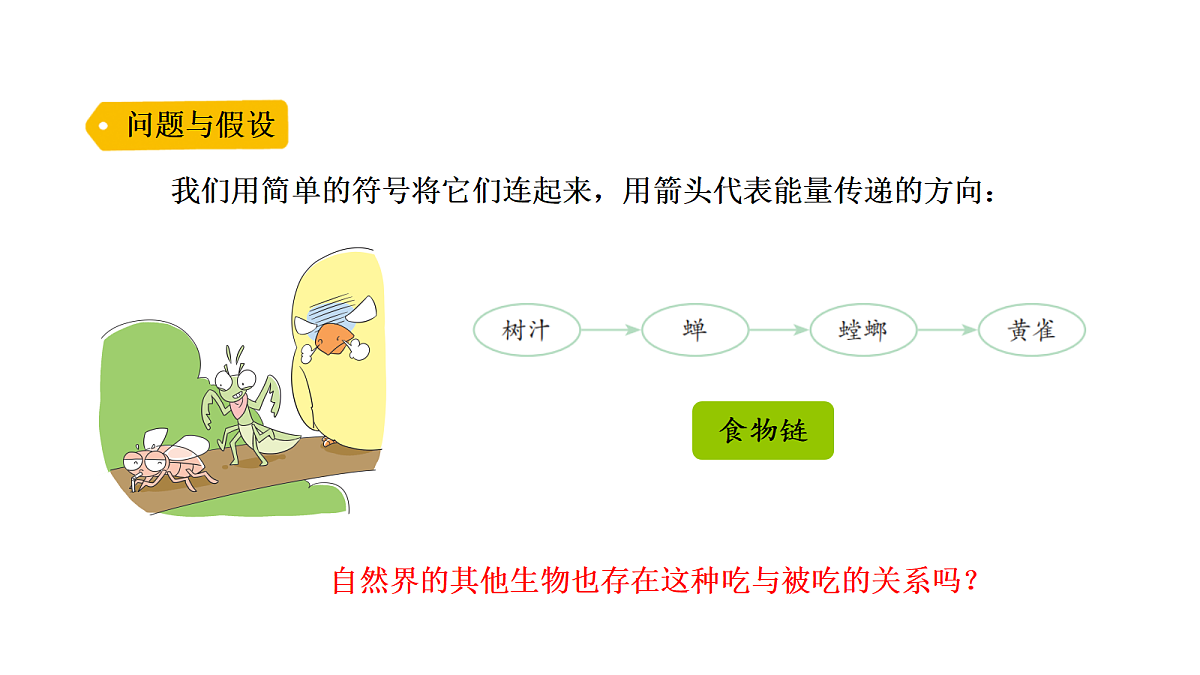 18705253第3页