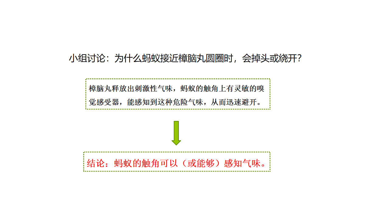 18705265第8页