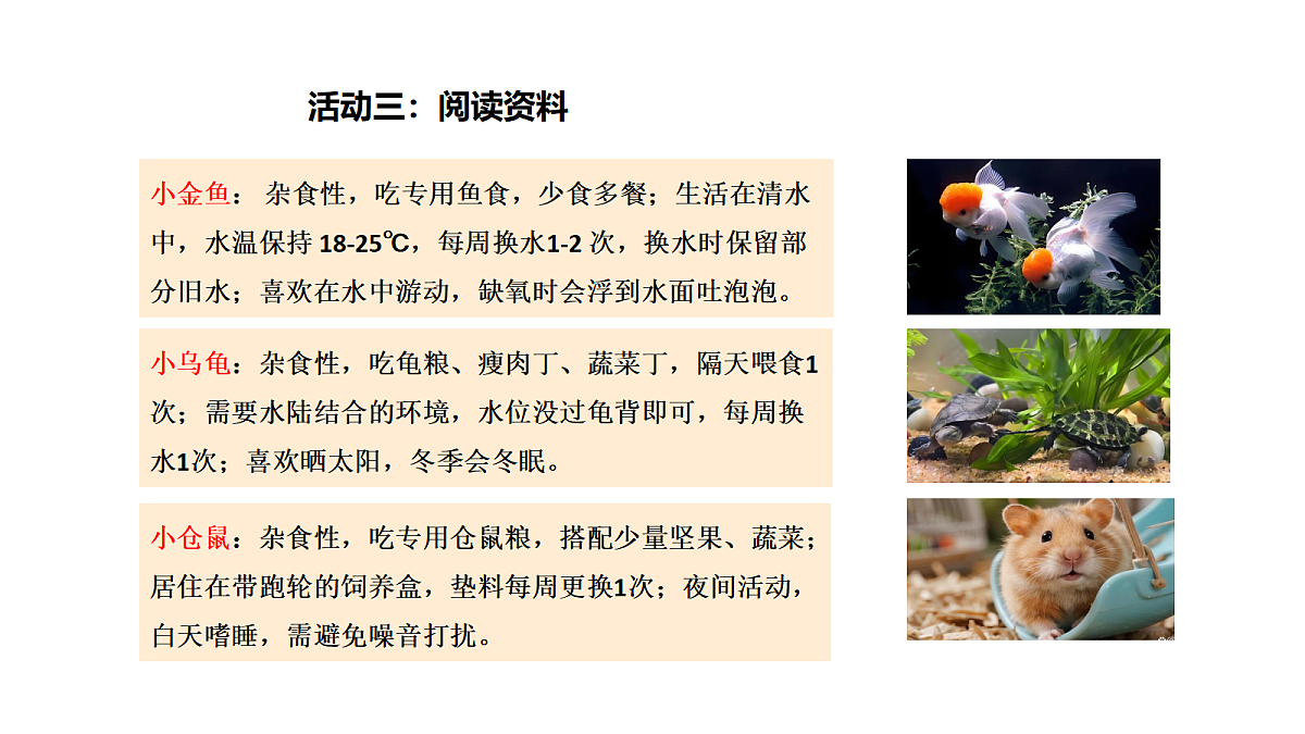 18705267第8页