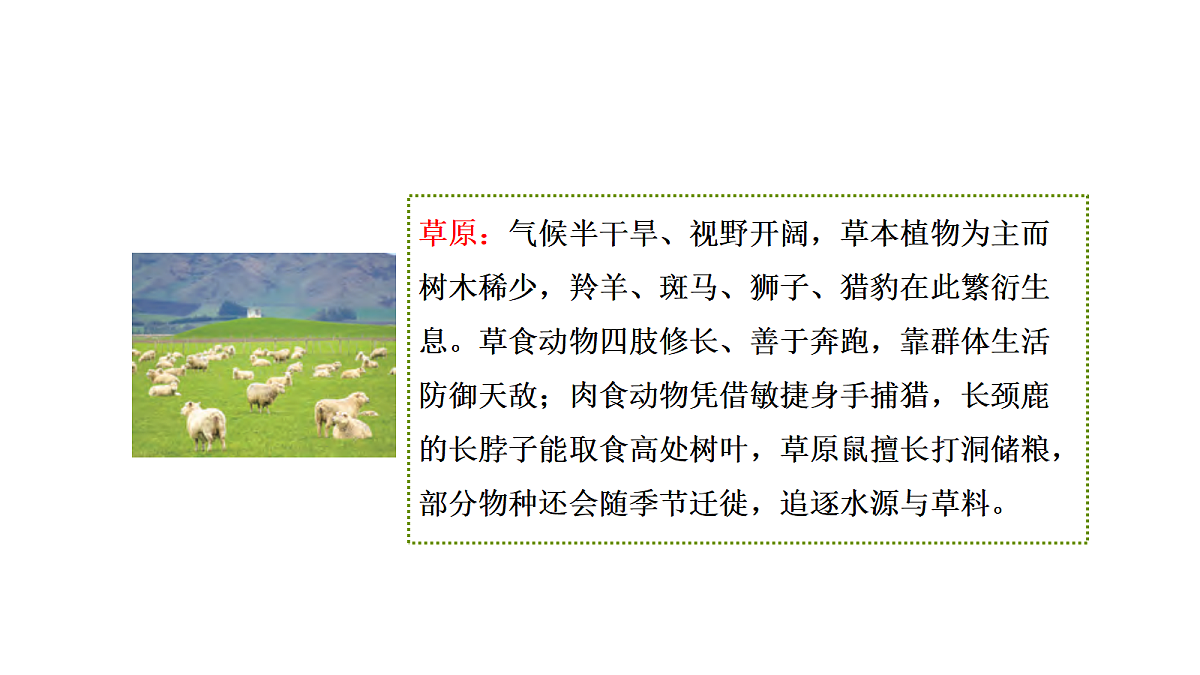 18705269第7页