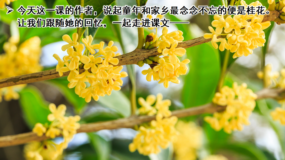 18705906第5页