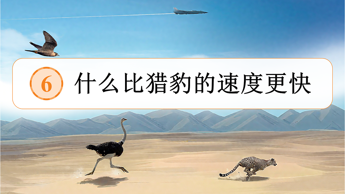 18705913第3页