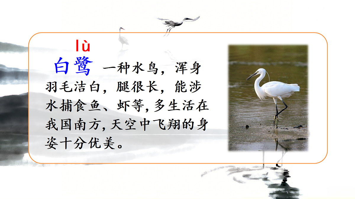 18705936第3页