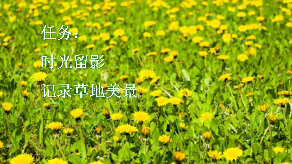 18708185第2页